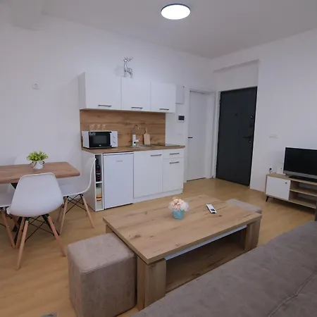 Apartment Mila Center