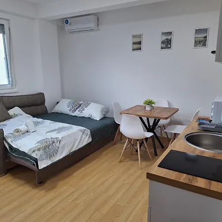 Apartment Mila Center *